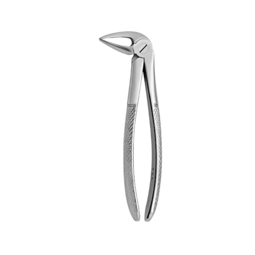 فورسپس | Tooth Forceps N.33-L - مدل:2500/33L