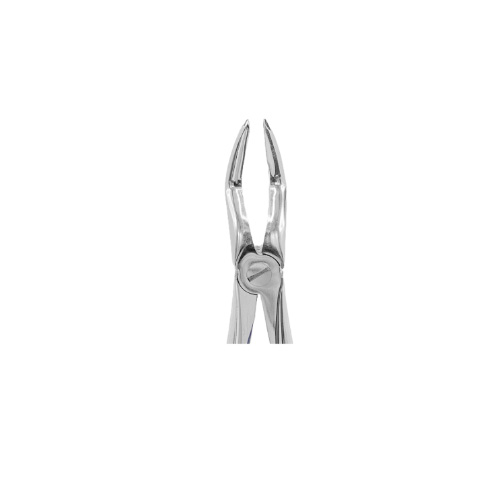 فورسپس ریشه کش فک بالا | Upper Roots Forceps - مدل:3005