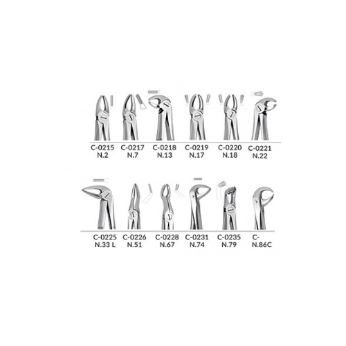 ست فورسپس بزرگسال 12 عددی | Anatomic Tooth Forceps Set