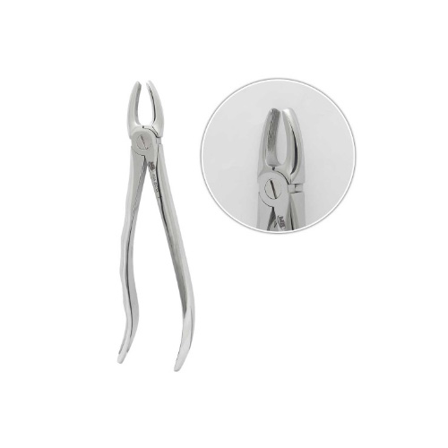 فورسپس آناتومیک قدامی فک بالا | Anatomic Upper Laterals & Canines Forceps Fig1 - مدل:MBT1145
