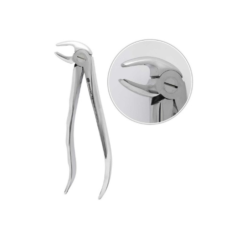 فورسپس آناتومیک پره مولر فک پایین | Anatomic Lower Premolars Forceps Fig13 - مدل:MBT1150