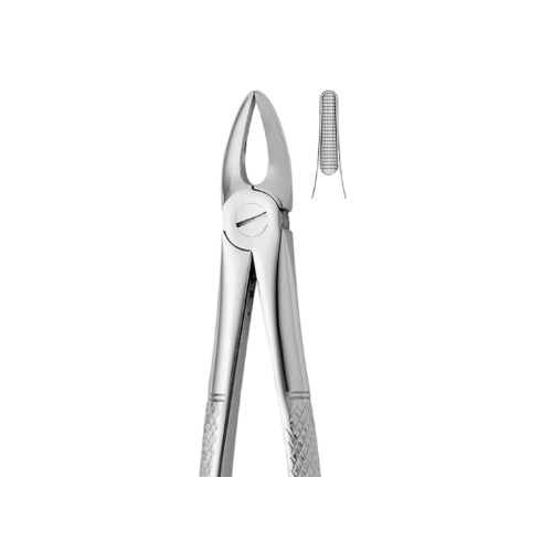 فورسپس ریشه‌کش | Upper Incisors Roots Forceps N.29 - مدل:2500/29