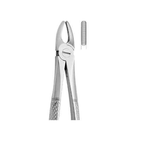 فورسپس فک بالا | Upper Incisors and Canines Forceps N.2 - مدل:2500/2