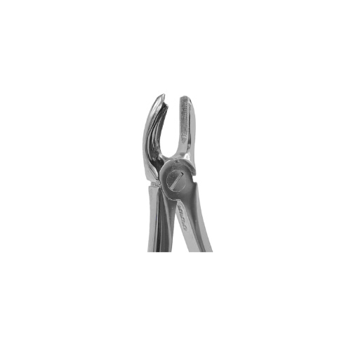 فورسپس مولر فک بالا راست | Upper Molars Right Forceps - مدل:3004